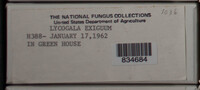 Image Associated With the Occurence